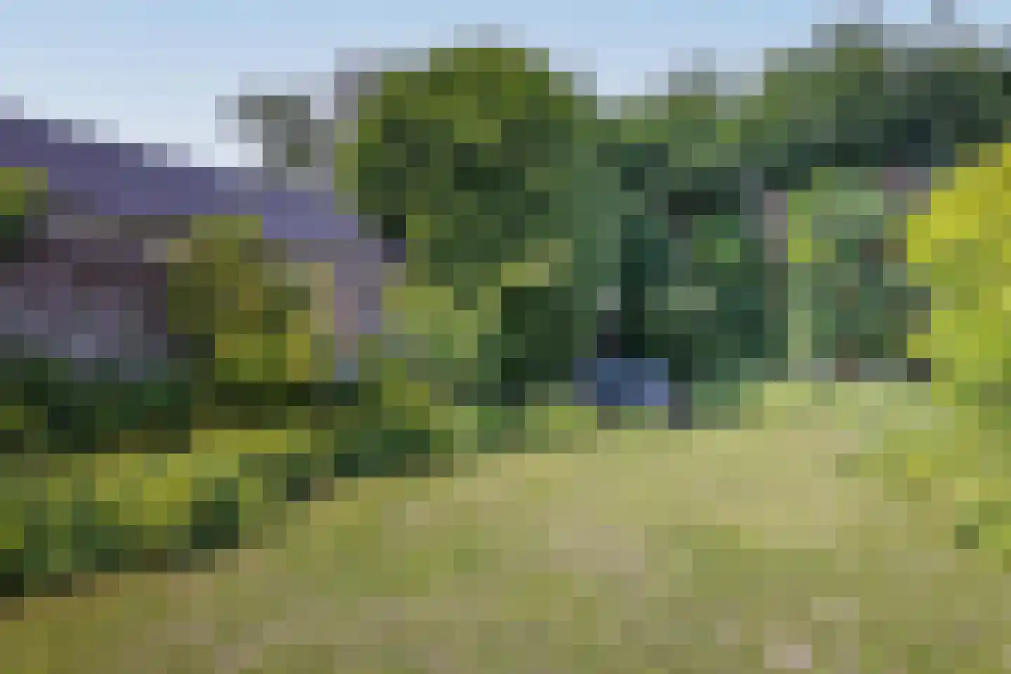 van Beekstraat 69 Landsmeer thumbnail 38