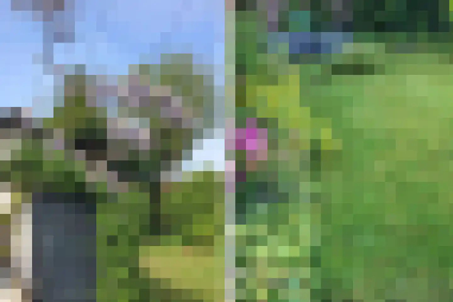 van Beekstraat 69 Landsmeer thumbnail 4