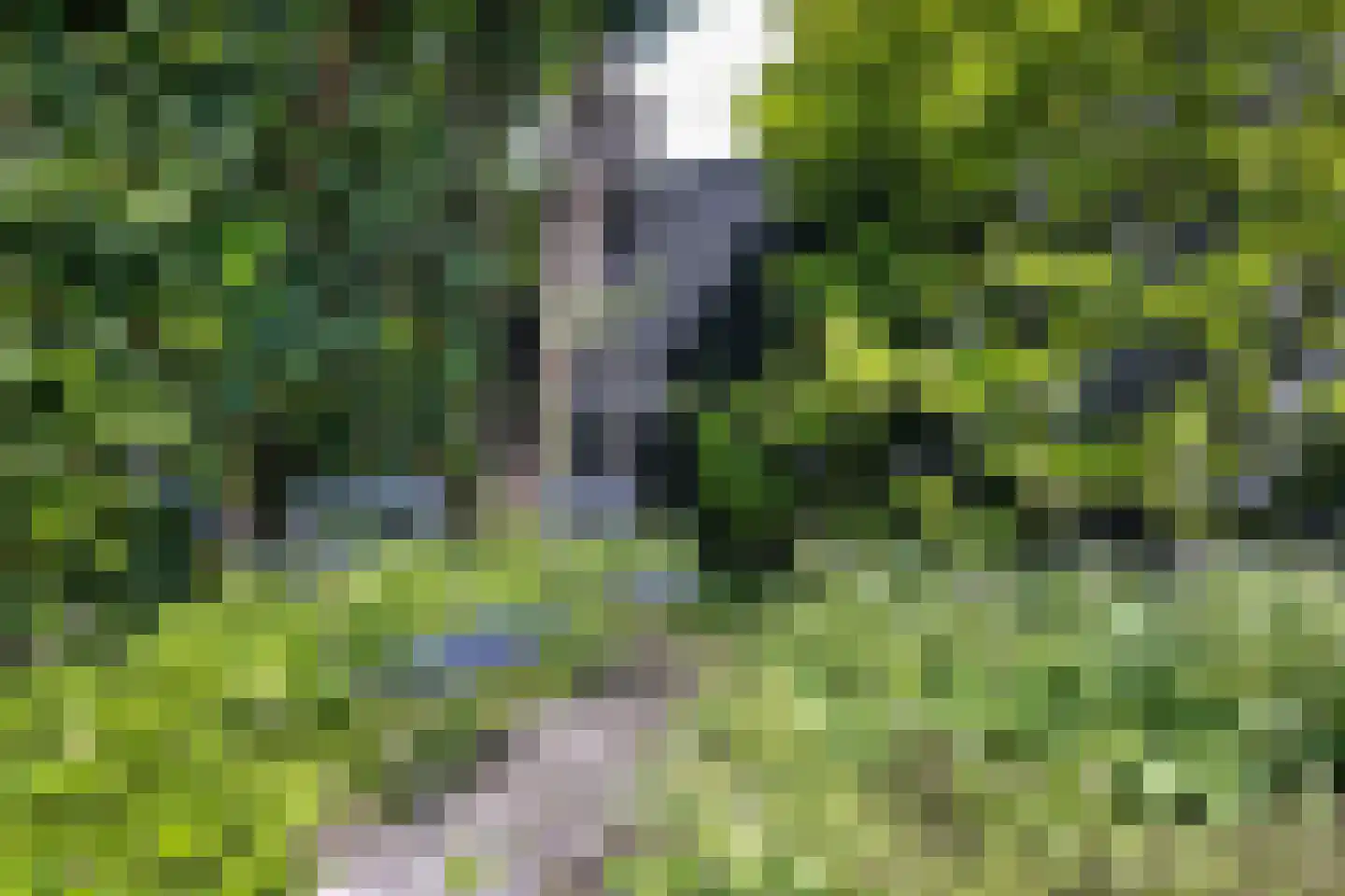 van Beekstraat 69 Landsmeer thumbnail 40