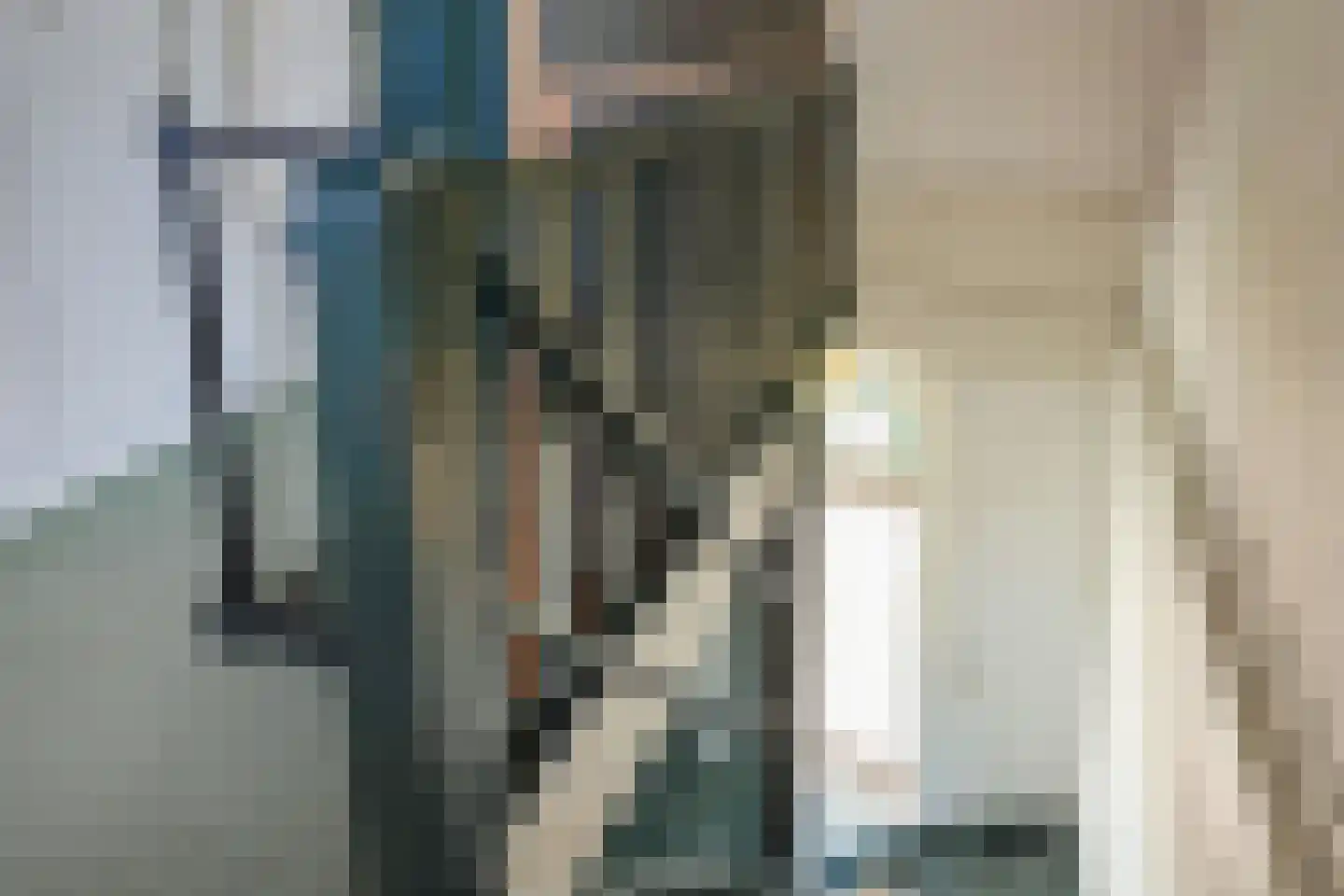 van Beekstraat 69 Landsmeer thumbnail 48
