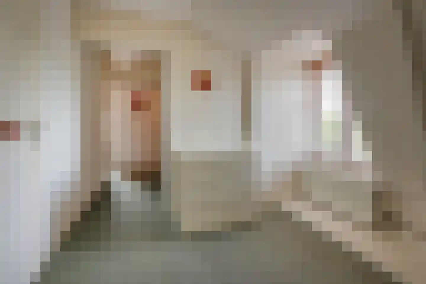van Beekstraat 69 Landsmeer thumbnail 49