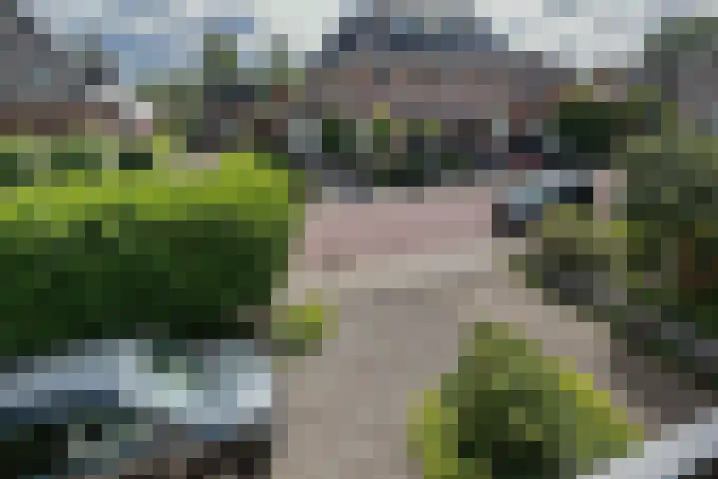 van Beekstraat 69 Landsmeer thumbnail 51