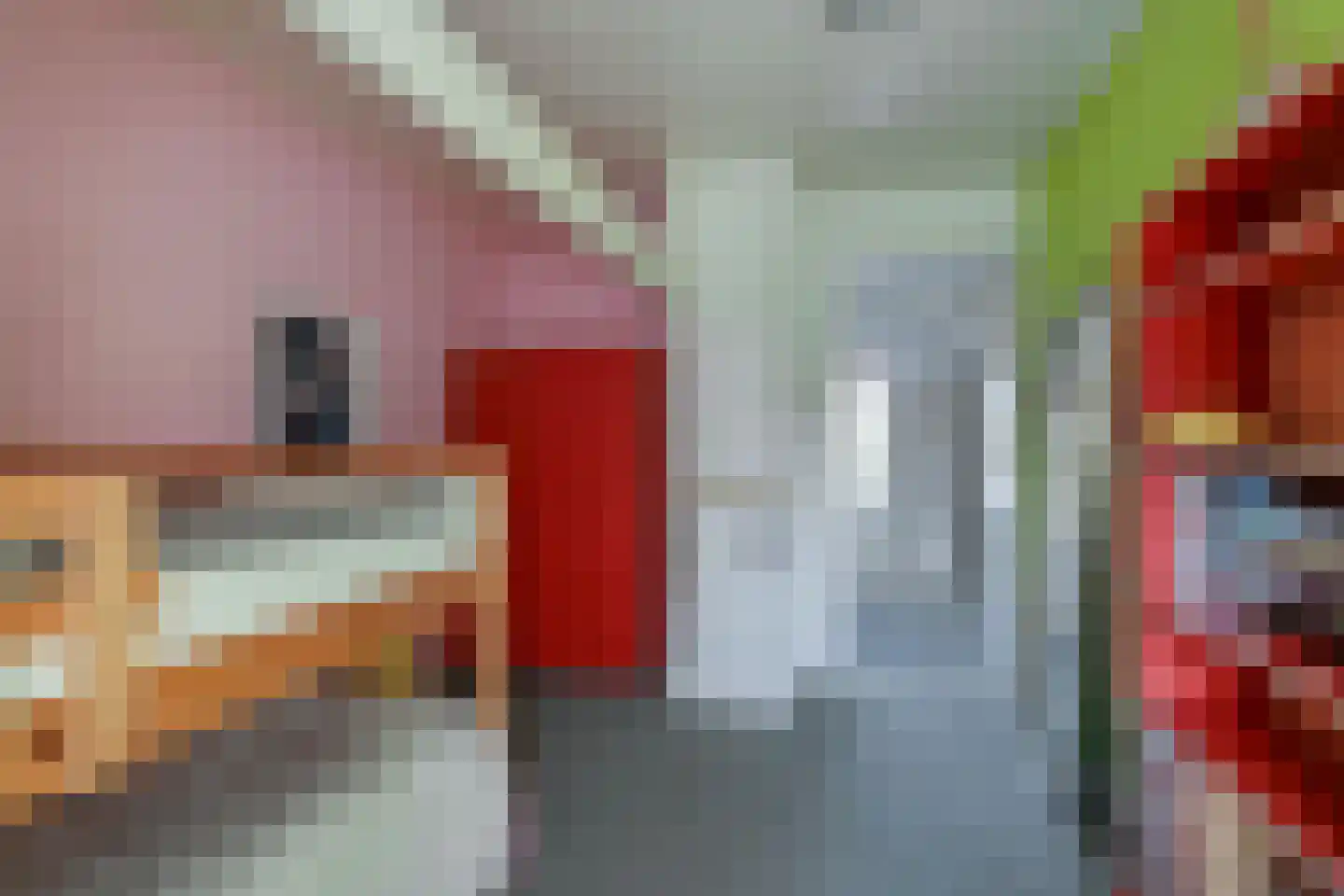 van Beekstraat 69 Landsmeer thumbnail 54