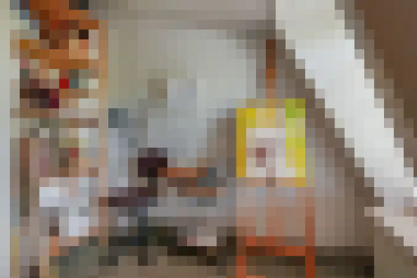 van Beekstraat 69 Landsmeer thumbnail 56