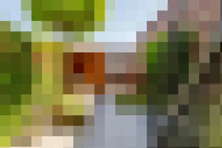 van Beekstraat 8 A Landsmeer thumbnail 52