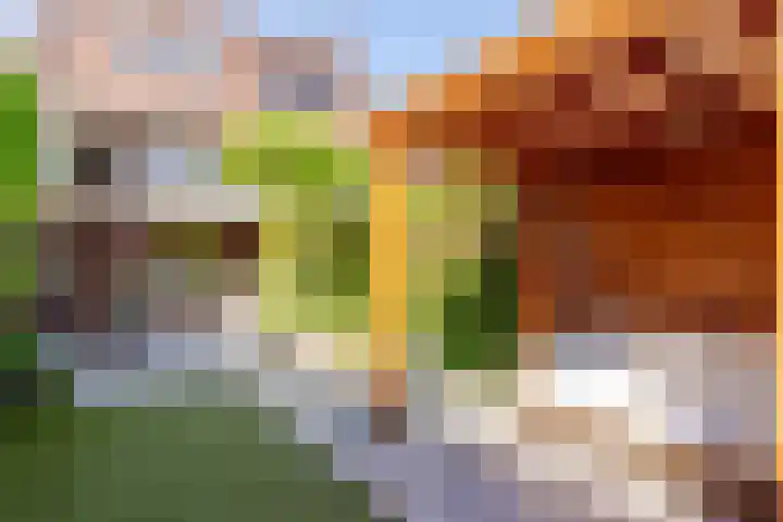 van Beekstraat 8 A Landsmeer thumbnail 56