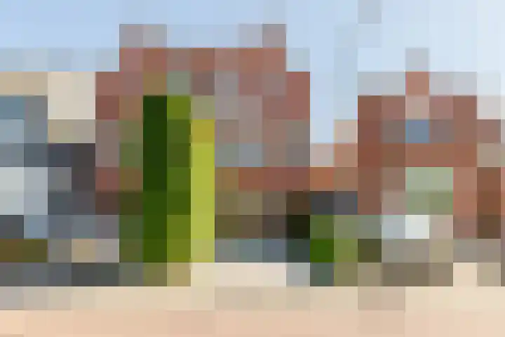 van Beekstraat 8 A Landsmeer thumbnail 7