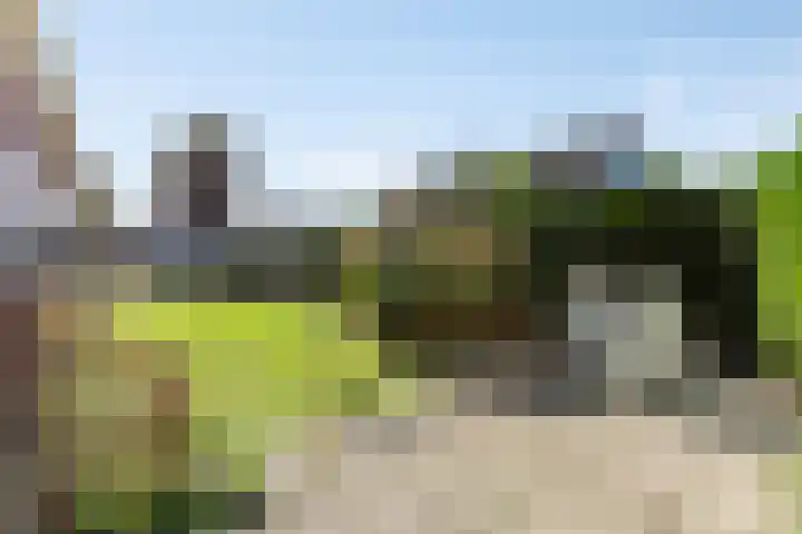 van Beekstraat 85 Landsmeer thumbnail 64