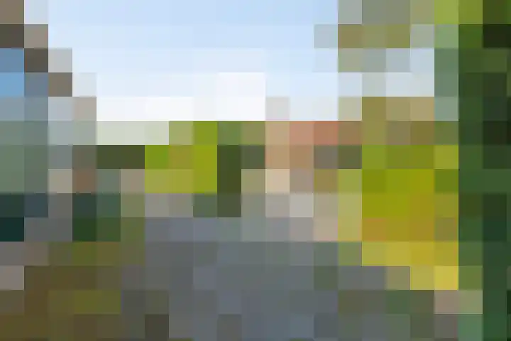 van Beekstraat 85 Landsmeer thumbnail 65