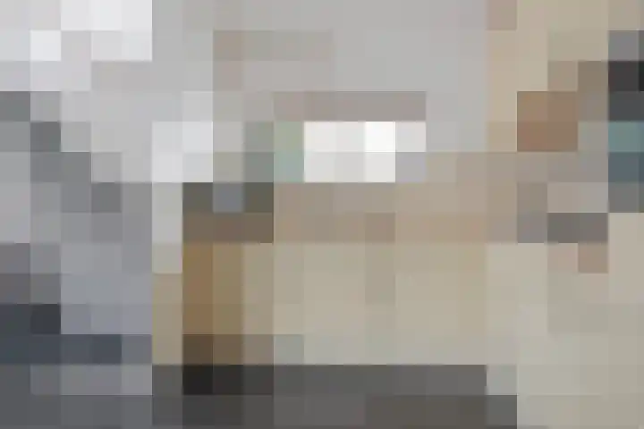 Van Beekum Maurissestraat 18 Honselersdijk thumbnail 13