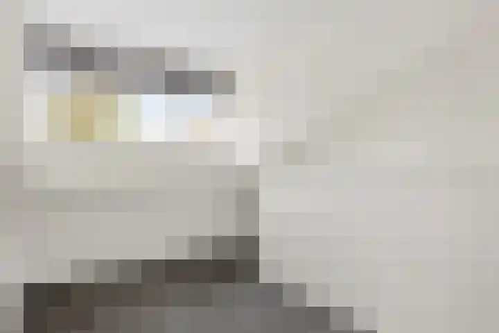 Van Beekum Maurissestraat 18 Honselersdijk thumbnail 21
