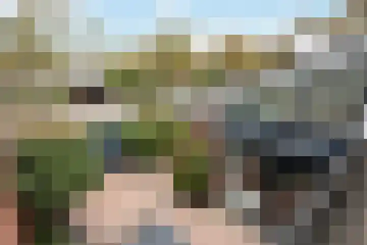 Van Beekum Maurissestraat 18 Honselersdijk thumbnail 28