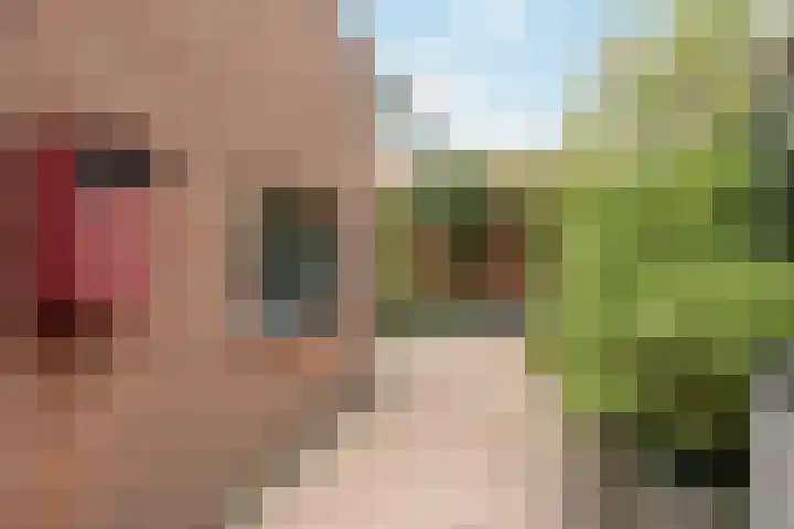 Van Beekum Maurissestraat 18 Honselersdijk thumbnail 32