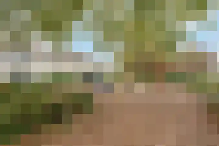 Van Beekum Maurissestraat 18 Honselersdijk thumbnail 38