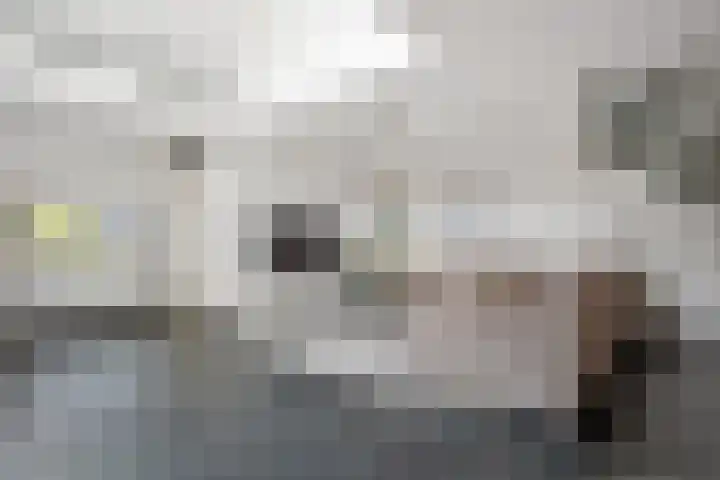 Van Beekum Maurissestraat 18 Honselersdijk thumbnail 5