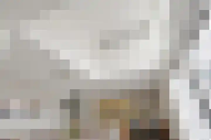 Van Beekum Maurissestraat 18 Honselersdijk thumbnail 6