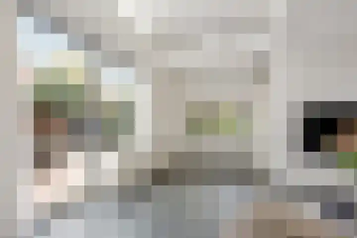 Van Beekum Maurissestraat 18 Honselersdijk thumbnail 7