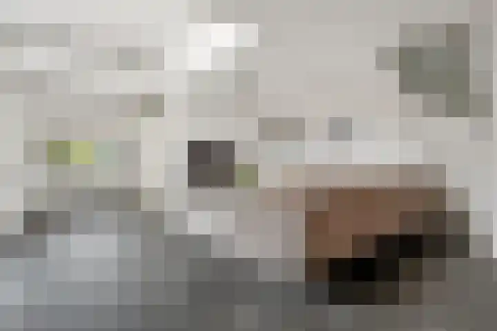 Van Beekum Maurissestraat 18 Honselersdijk thumbnail 8