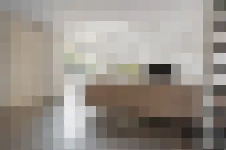 Van Beekum Maurissestraat 18 Honselersdijk thumbnail 9