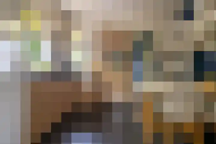 Van Beekweg 7 Ermelo thumbnail 23