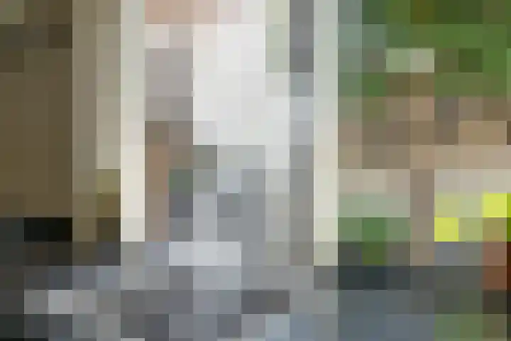 Van Beekweg 7 Ermelo thumbnail 27