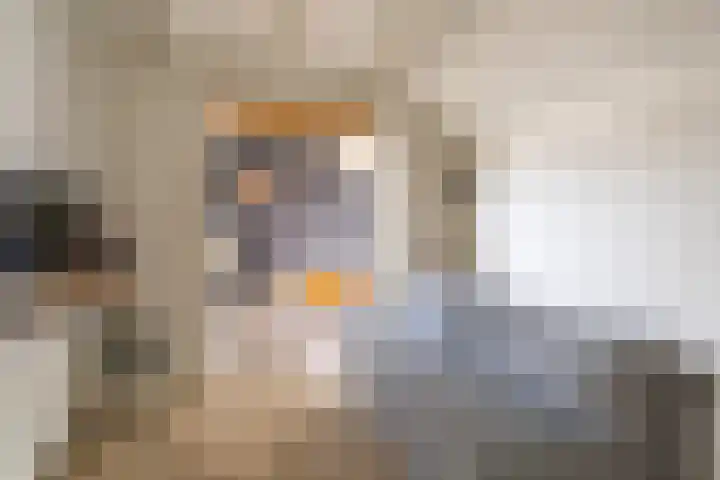 Van Beekweg 7 Ermelo thumbnail 36