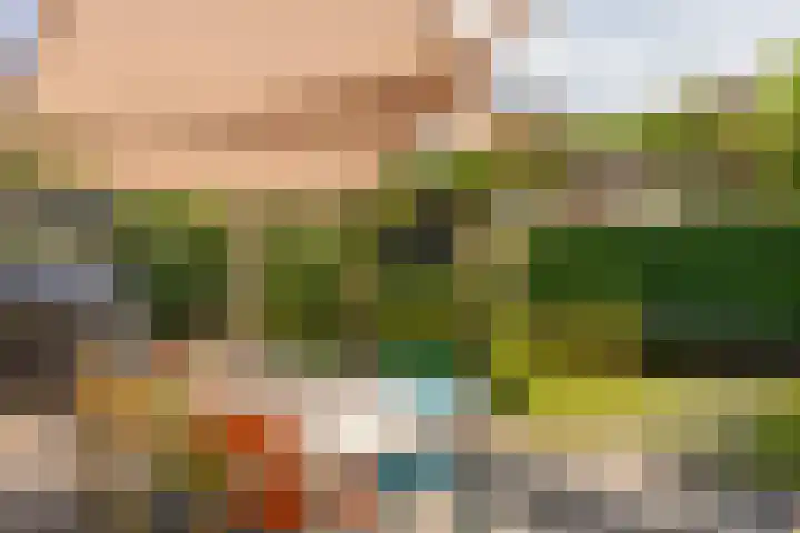 Van Beekweg 7 Ermelo thumbnail 49
