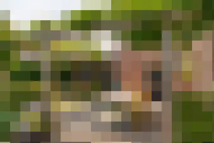 Van Beekweg 7 Ermelo thumbnail 55