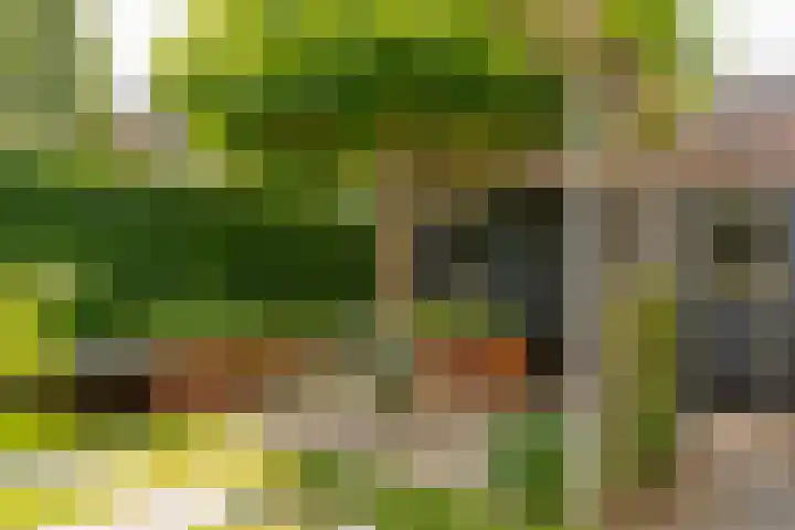 Van Beekweg 7 Ermelo thumbnail 56