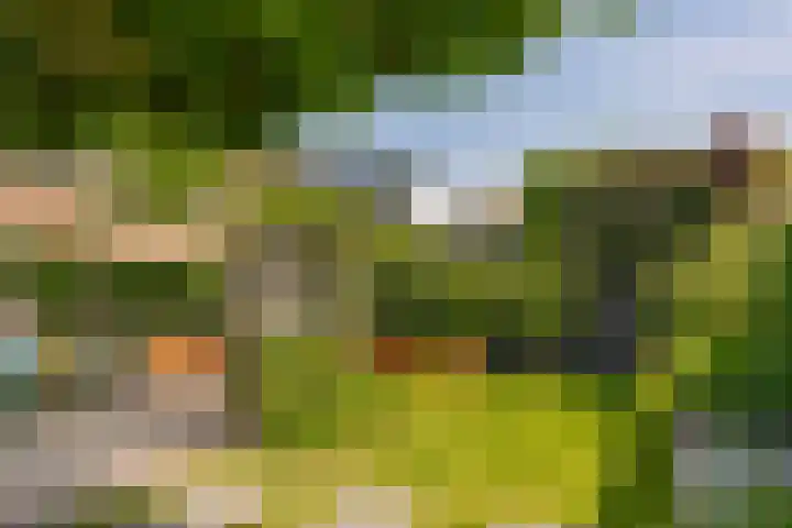 Van Beekweg 7 Ermelo thumbnail 57