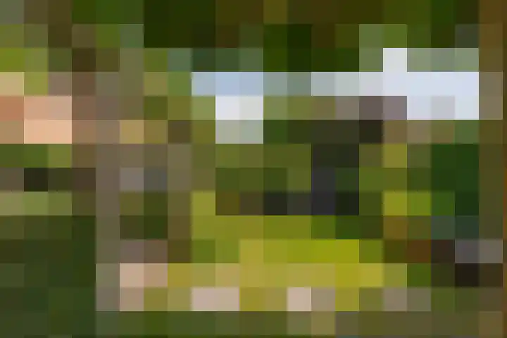 Van Beekweg 7 Ermelo thumbnail 58