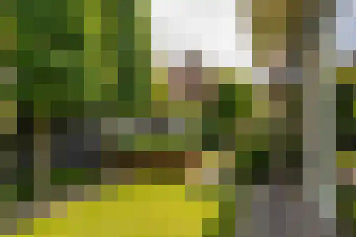 Van Beekweg 7 Ermelo thumbnail 59