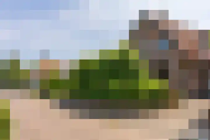 Van Beekweg 7 Ermelo thumbnail 6