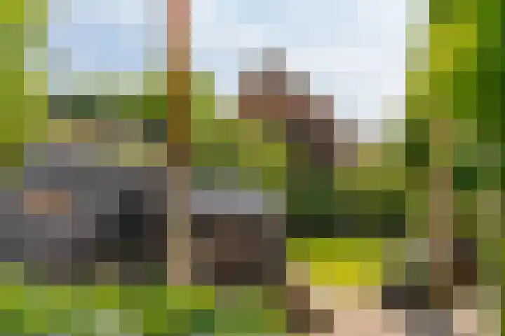 Van Beekweg 7 Ermelo thumbnail 60