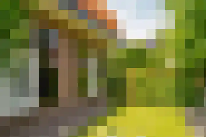 Van Beekweg 7 Ermelo thumbnail 63