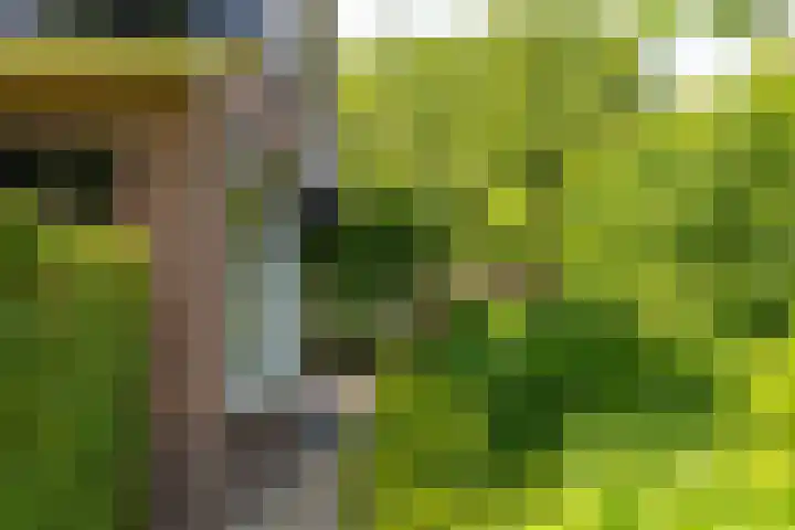 Van Beekweg 7 Ermelo thumbnail 64
