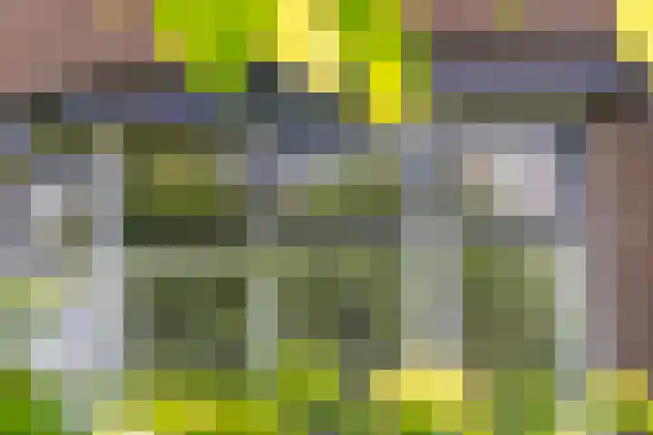 Van Beekweg 7 Ermelo thumbnail 66
