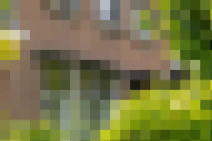 Van Beekweg 7 Ermelo thumbnail 67