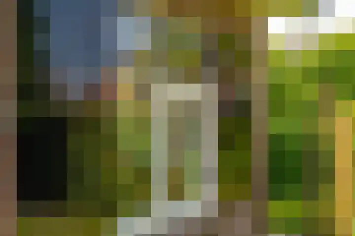 Van Beekweg 7 Ermelo thumbnail 69