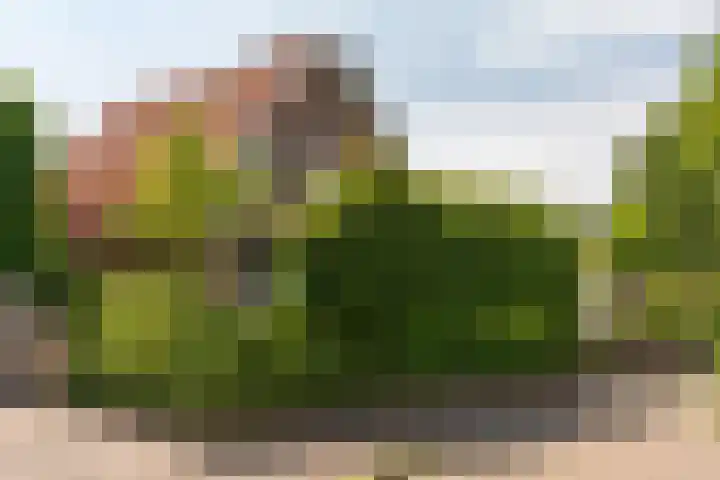 Van Beekweg 7 Ermelo thumbnail 71