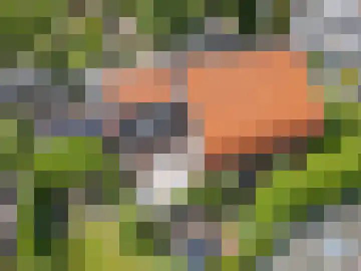 Van Beekweg 7 Ermelo thumbnail 72
