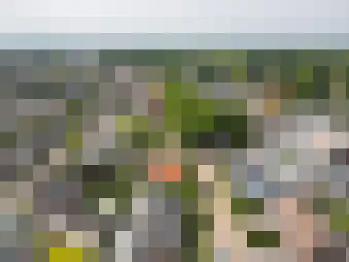 Van Beekweg 7 Ermelo thumbnail 76