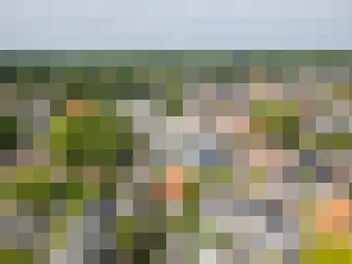 Van Beekweg 7 Ermelo thumbnail 77