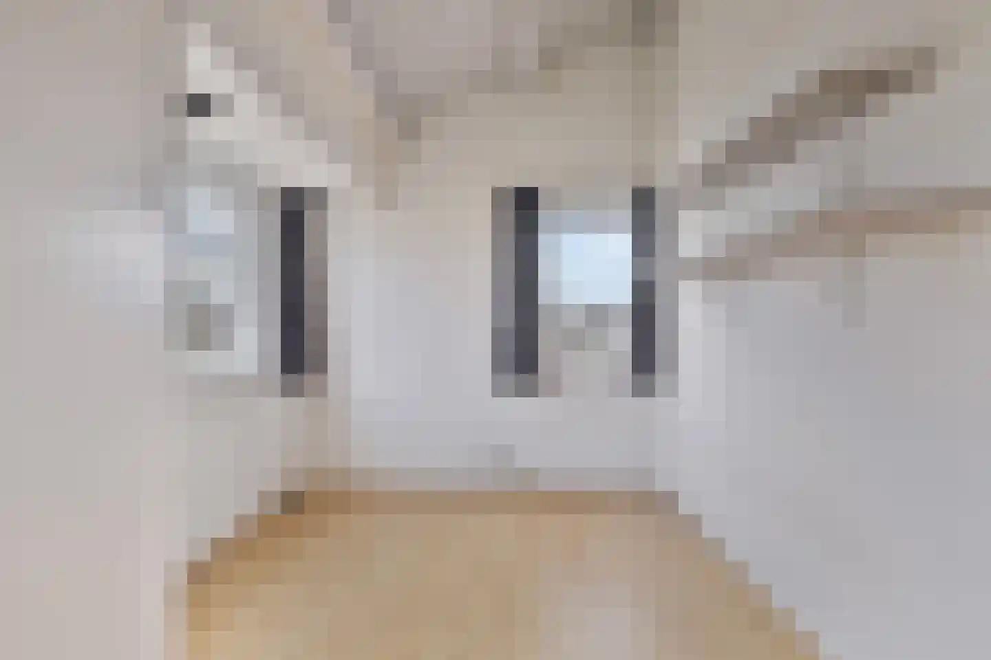 Van Beethovenlaan 1 Vlissingen thumbnail 35
