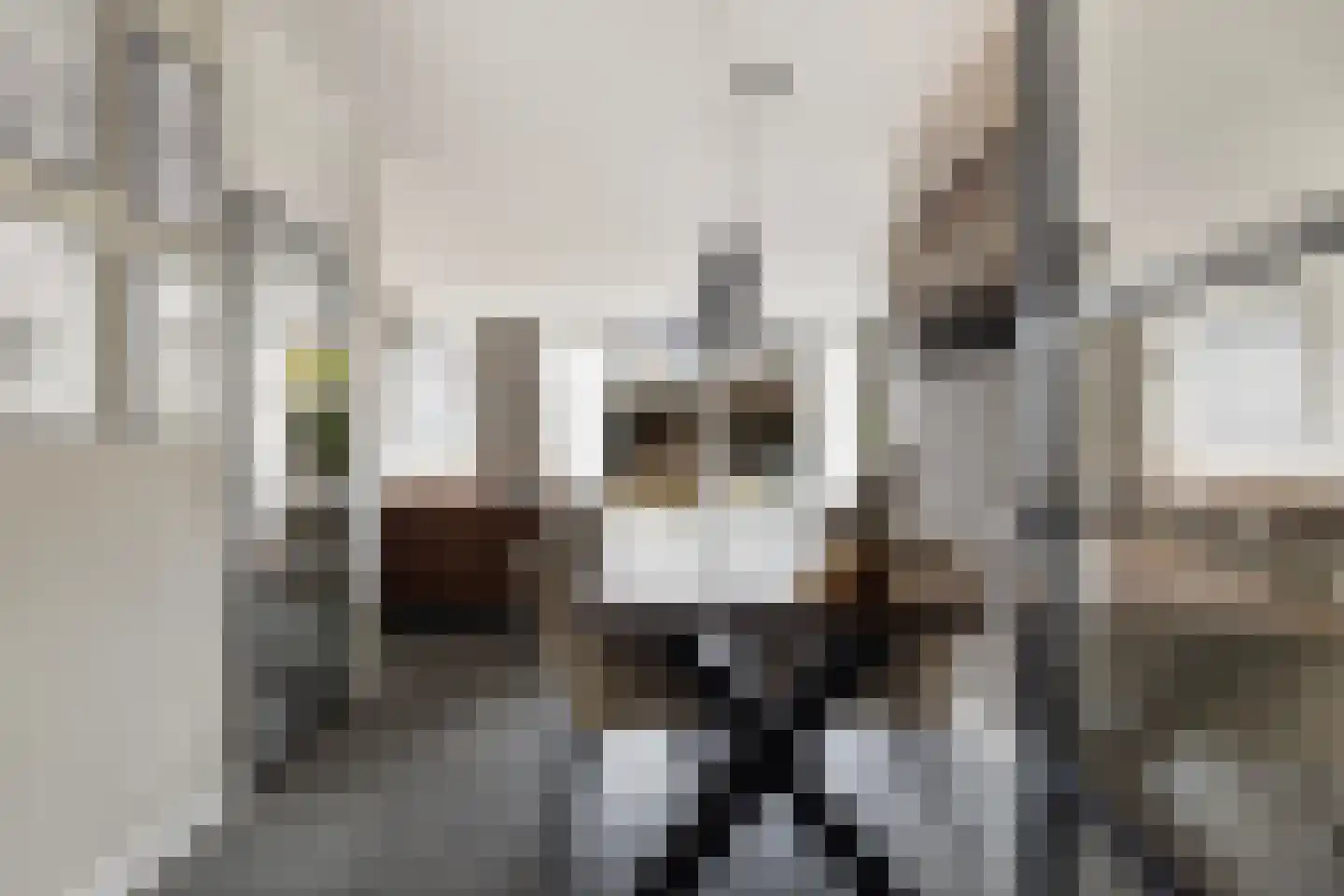 Van Beethovenlaan 10 Maassluis thumbnail 12