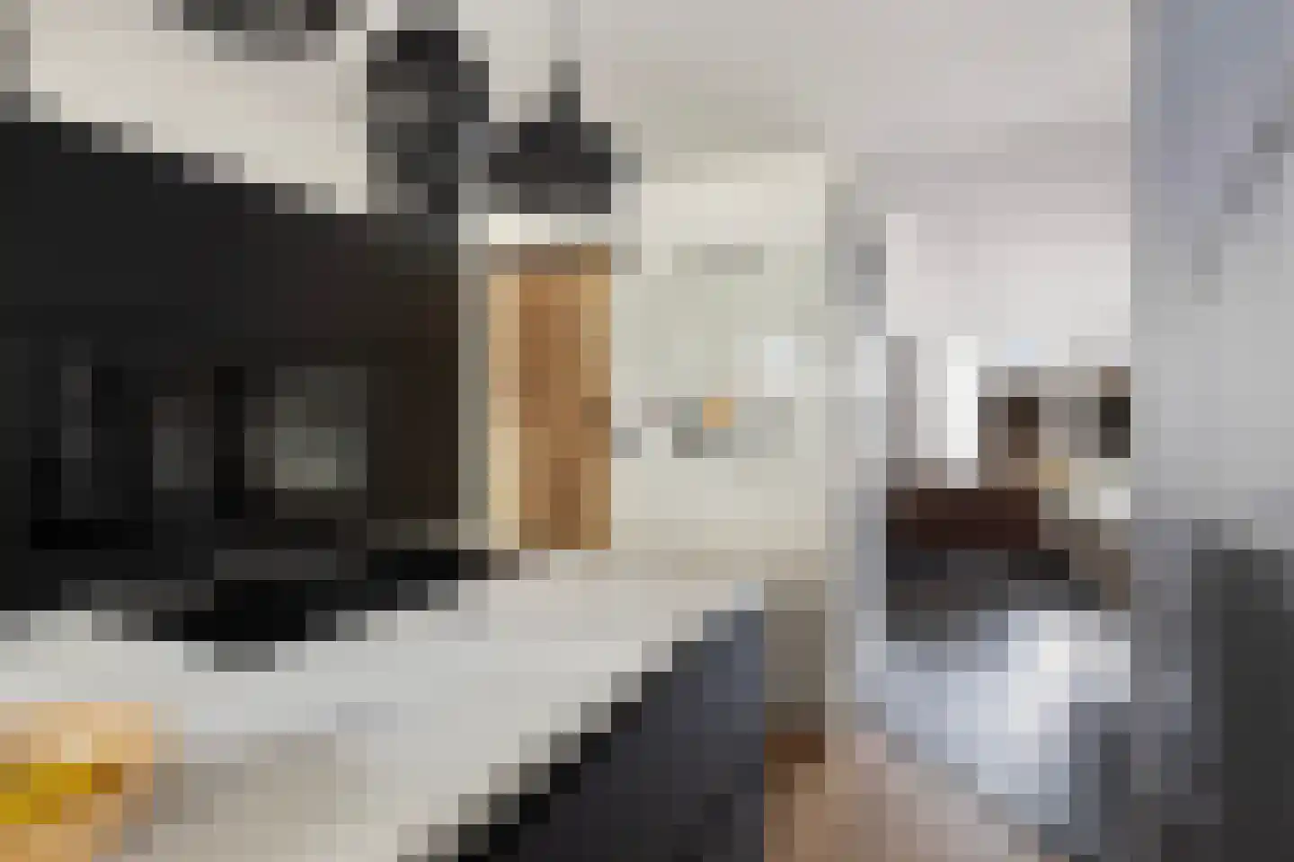 Van Beethovenlaan 10 Maassluis thumbnail 15