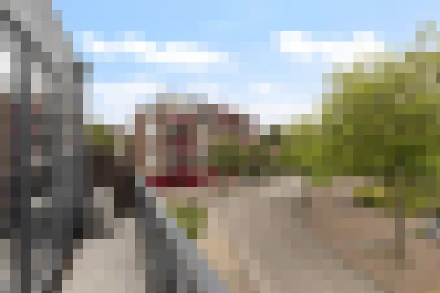 Van Beethovenlaan 10 Maassluis thumbnail 52