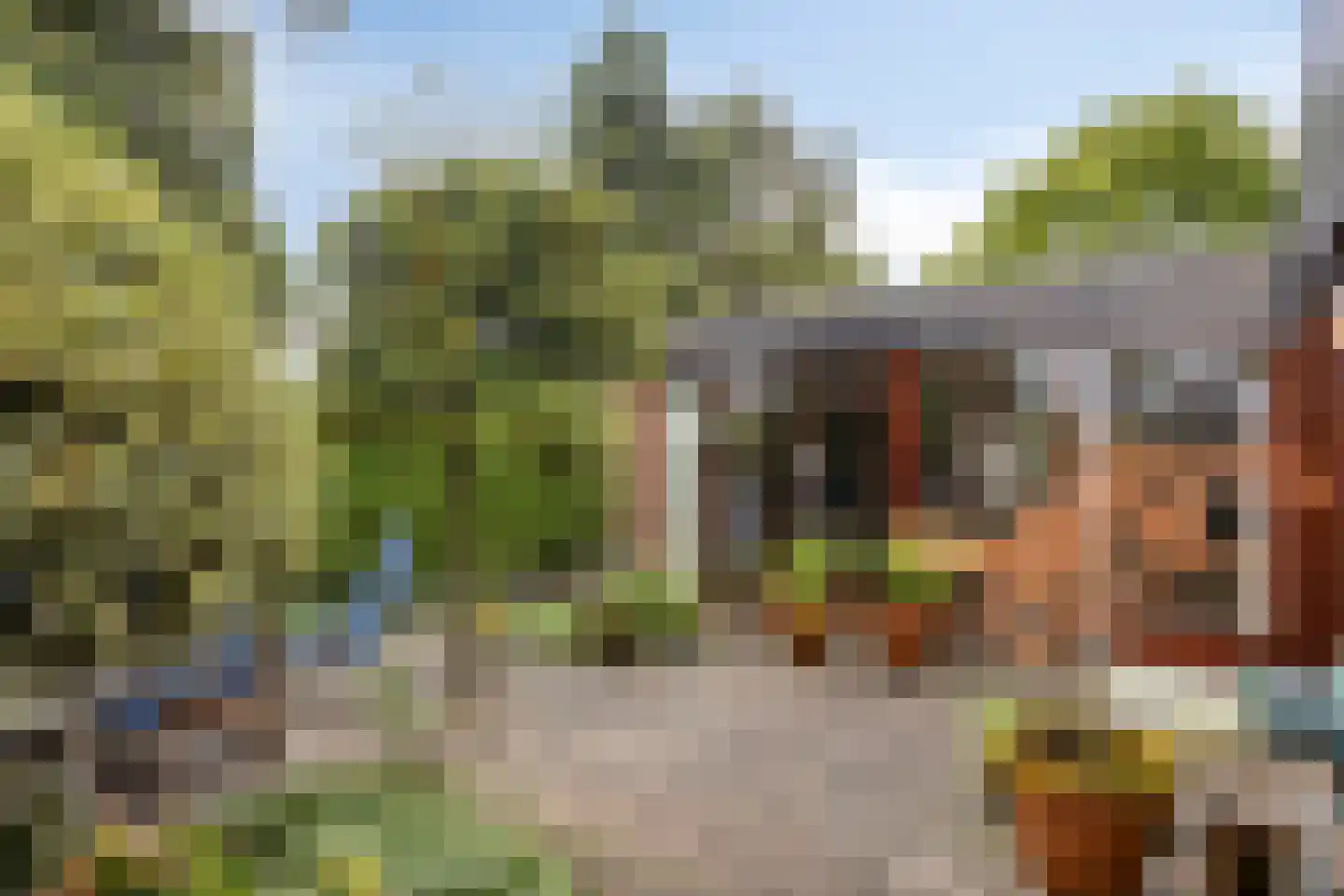 van Beethovenlaan 10 Rhoon thumbnail 38