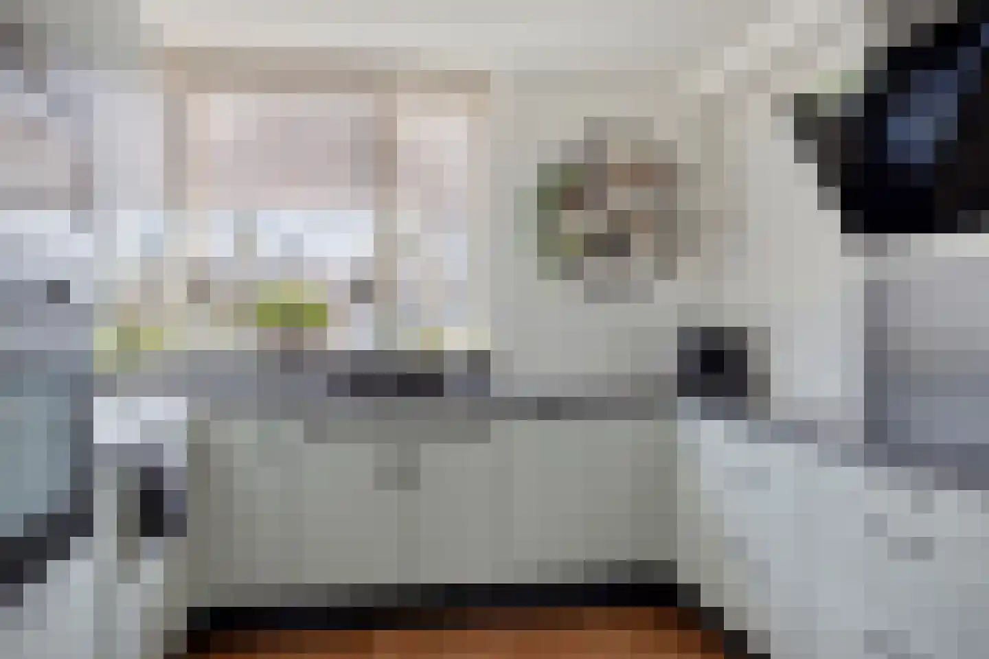 Van Beethovenlaan 101 Capelle aan den IJssel thumbnail 18