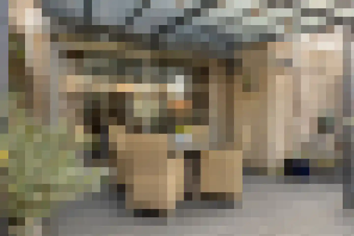 Van Beethovenlaan 101 Capelle aan den IJssel thumbnail 8
